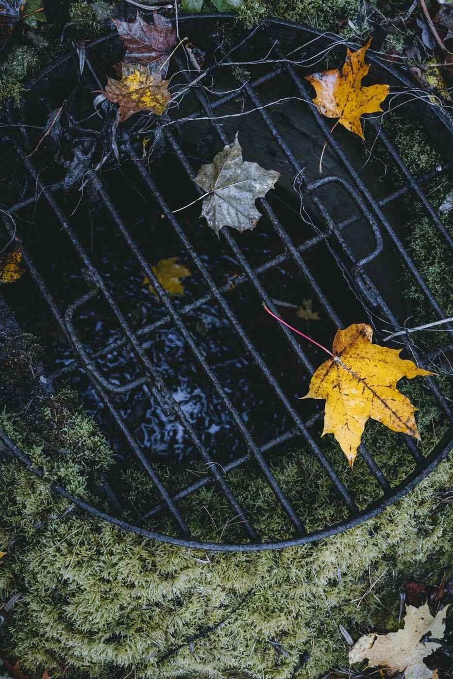 Leaves and debris trapped in a window well grate, showing why regular cleaning matters
